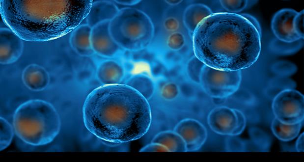 Los mismos genes pueden activar el inicio del tumor y su metástasis