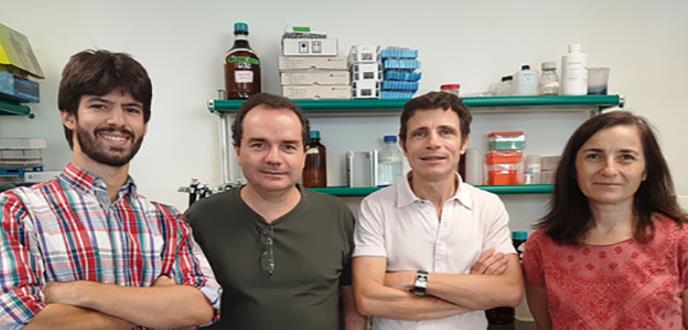 Identificada una molécula clave en el desarrollo de la psoriasis