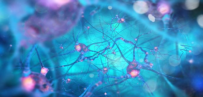 La contaminación en el embarazo se asocia con menor capacidad cognitiva en los hijos