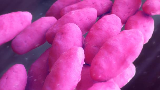 Actividad de ciertas bacterias intestinales influiría en el desarrollo de depresión