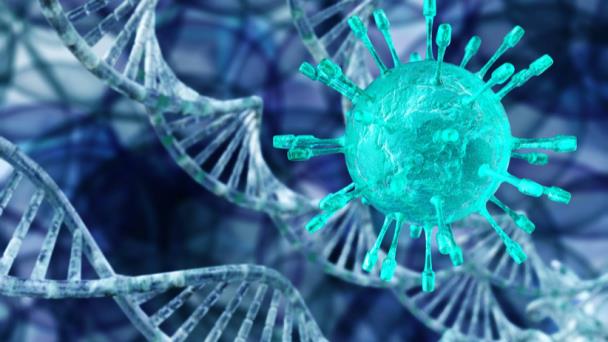 Conozca la anomalía genética que impide la pronta recuperación de COVID Conozca la anomalía genética que impide la pronta recuperación de COVID