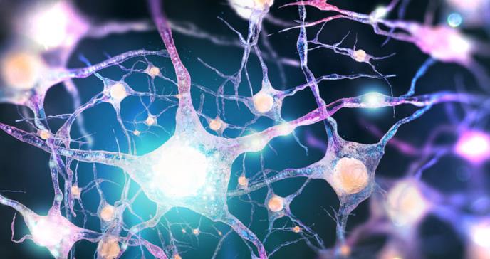 Un estudio asocia el alzhéimer con el virus del herpes