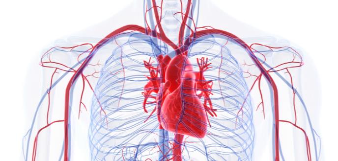 TRATAMIENTO Y EVALUACIÓN DE PACIENTES CON POSIBLE INFARTO AL CORAZÓN EN TIEMPOS DE COVID-19