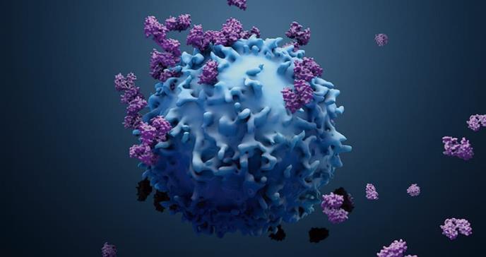EL ROL DE LA INMUNOTERAPIA EN EL MANEJO DE LA LEUCEMIA LINFOCÍTICA AGUDA