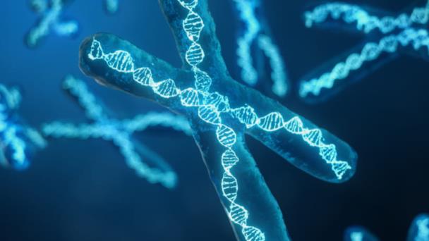 Asociados 400 genes con el desarrollo de esquizofrenia Asociados 400 genes con el desarrollo de esquizofrenia