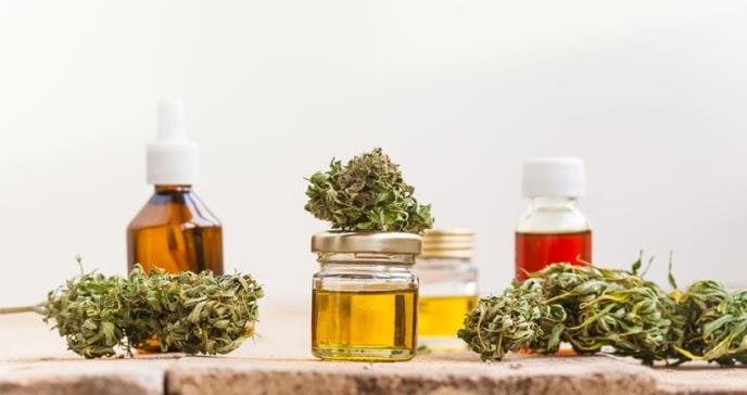 Asocian el consumo de cannabis con todo tipo de trastornos mentales