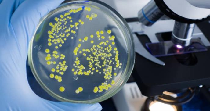 Avances y desafíos contra cuatro enfermedades infecciosas