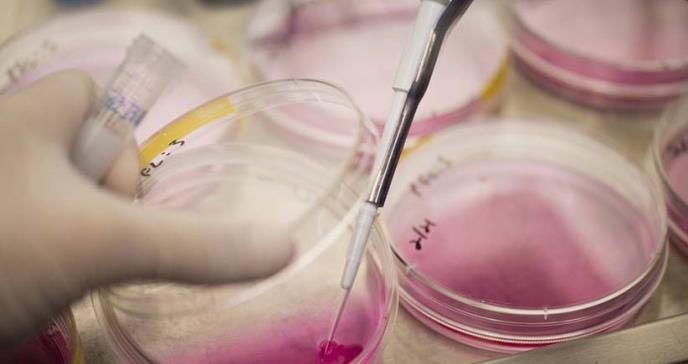 Análisis genéticos pueden llevar a mejor detección del cáncer e intervenciones