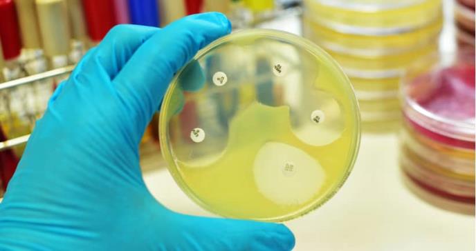Bacterias se harían resistentes a los antibióticos debido al humo del tabaco
