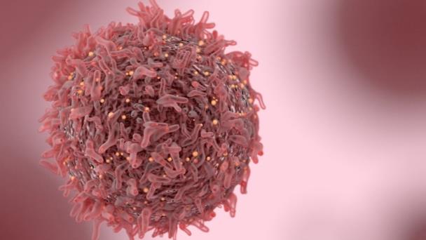 El rol de la genética en el desarrollo y manejo clínico del cáncer de seno El rol de la genética en el desarrollo y manejo clínico del cáncer de seno