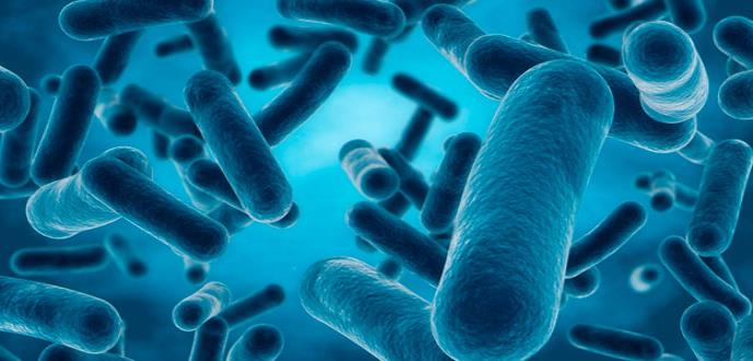 Descubren que cápsulas bacterianas pueden ser útiles agentes terapéuticos
