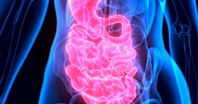 Carga y costos de la enfermedad gastrointestinal en los EE. UU.