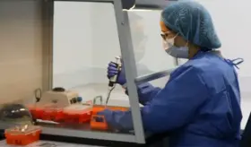 Células mesenquimales son clave para mejorar la calidad de vida de pacientes con enfermedades crónicas