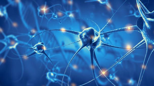 El trasplante celular repara el daño causado por la esclerosis múltiple El trasplante celular repara el daño causado por la esclerosis múltiple