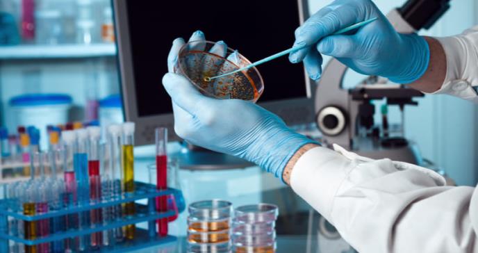 Las lecciones sobre los coronavirus que aprendemos de los cerdos