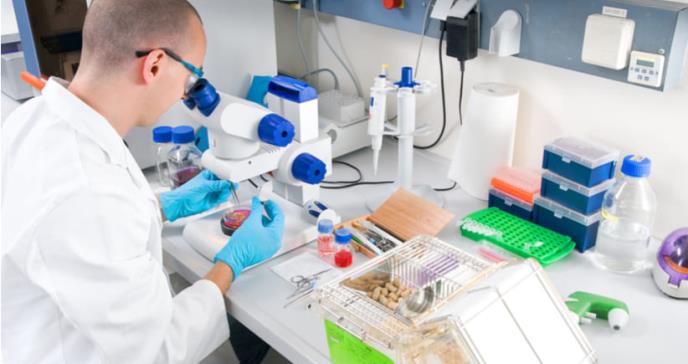 Eliminan un tipo de tumor de páncreas en ratones