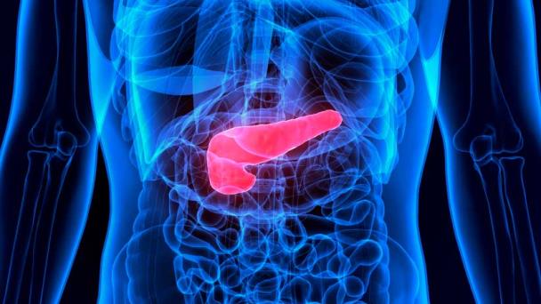 Combinación de dos fármacos sería clave para tratar el cáncer de páncreas Combinación de dos fármacos sería clave para tratar el cáncer de páncreas
