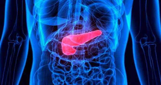 Combinación de dos fármacos sería clave para tratar el cáncer de páncreas