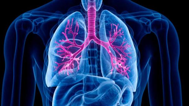 Combinación de tres fármacos reduce síntomas en pacientes con fibrosis quística Combinación de tres fármacos reduce síntomas en pacientes con fibrosis quística