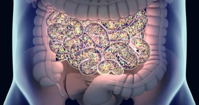 Conocer nuestro microbioma será clave para la salud y la enfermedad humana