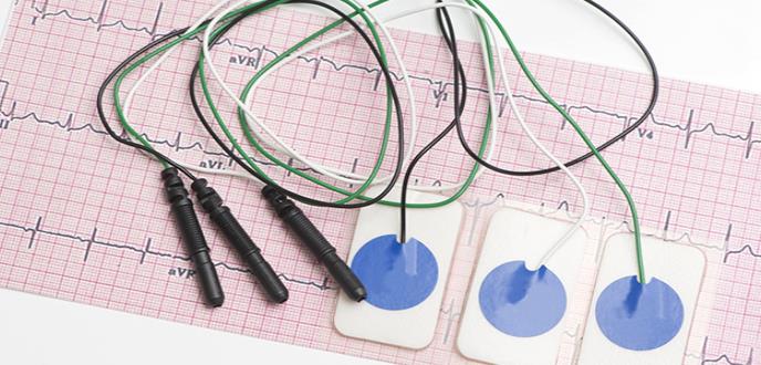 Hallan proteína clave para la función de los músculos y el corazón