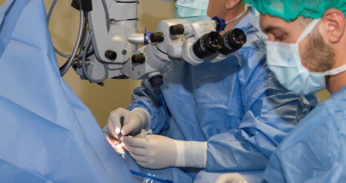 Desarrollan la primera retina artificial
