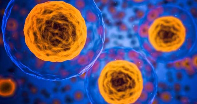 Desarrollan microdispositivos que distinguen las células tumorales de las sanas