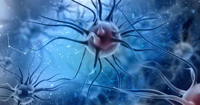 Desarrollan un modelo que predice qué virus animales pueden propagarse entre los humanos