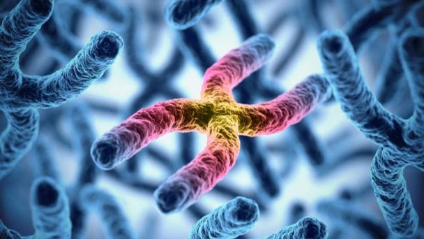 Descubren 38 nuevos genes involucrados en la pérdida de audición