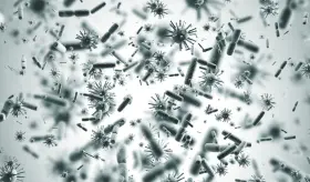 Descubren antibiótico capaz de matar a las bacterias más resistentes