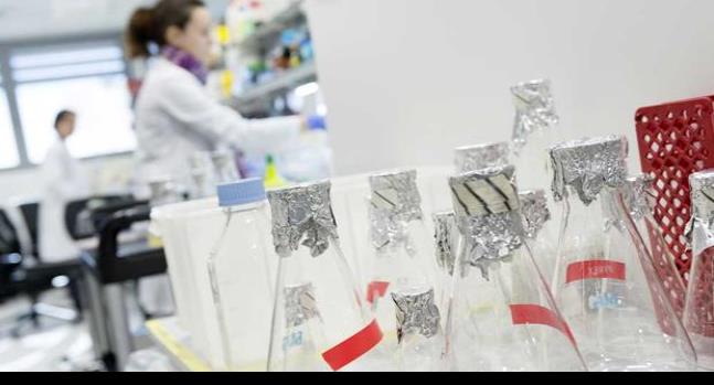 Descubren cómo eliminar las células tumorales durmientes que causan recaídas en el cáncer