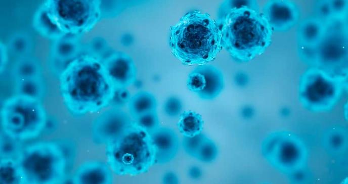 Descubren mecanismo que activa y desactiva el virus del herpes