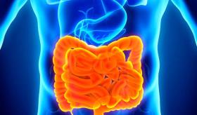 Innovaciones en terapias orales para la Enfermedad Inflamatoria Intestinal