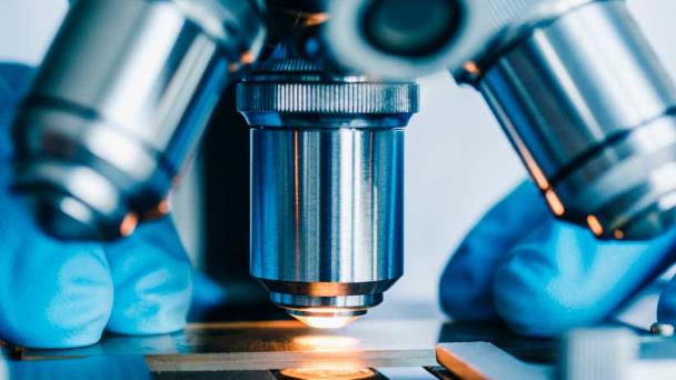 Descubren regulador molecular que abre el camino a posible tratamiento de la obesidad Descubren regulador molecular que abre el camino a posible tratamiento de la obesidad