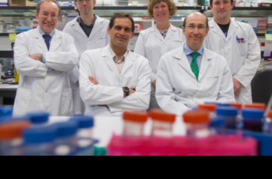 Descubren un mecanismo que favorece la metástasis del cáncer de pulmón a hueso