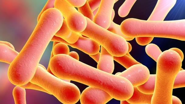 Hallazgo de nuevo caso de difteria, condición que se creía erradicada Hallazgo de nuevo caso de difteria, condición que se creía erradicada