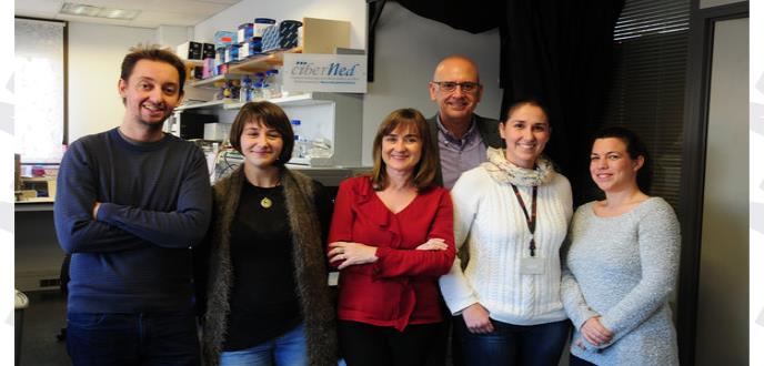 Descubren un proceso que previene la muerte neuronal