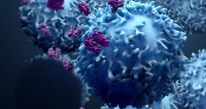 La edad sería un componente en el desarrollo del cáncer