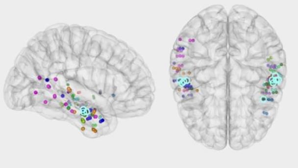 El hipocampo orquesta el proceso cerebral que permite evocar un recuerdo El hipocampo orquesta el proceso cerebral que permite evocar un recuerdo