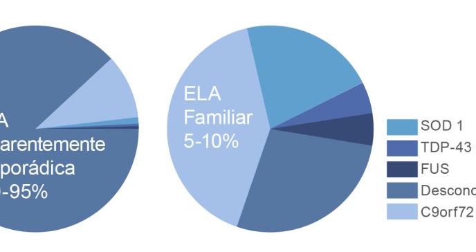 La Esclerosis Lateral Amiotrófica (ELA): Aspectos clínicos y genéticos de la enfermedad