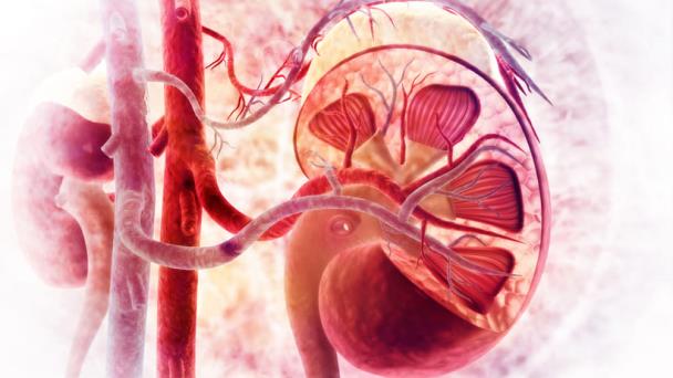 Enfermedades crónicas serían producto de fallos en el metabolismo Enfermedades crónicas serían producto de fallos en el metabolismo