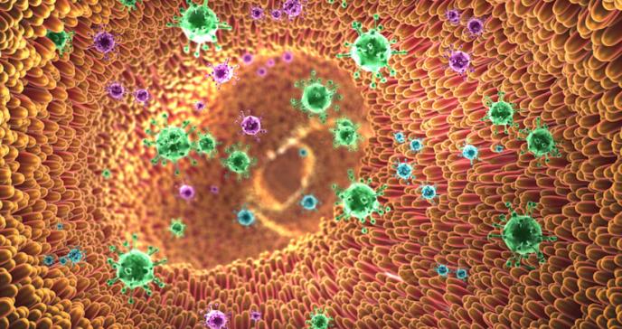 El COVID-19 infecta productivamente los enterocitos intestinales humanos, estudio