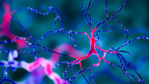 Pacientes con alzhéimer presentan más mutaciones de ADN en sus neuronas, según investigación Pacientes con alzhéimer presentan más mutaciones de ADN en sus neuronas, según investigación
