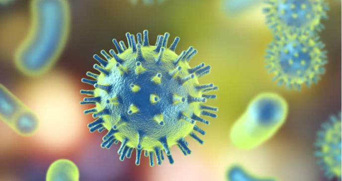 Hallan una proteína fundamental para combatir las infecciones virales