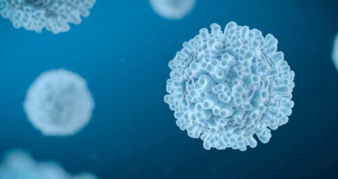 Nuevo hallazgo ofrece la posibilidad de prevenir la enfermedad metabólica relacionada con la edad