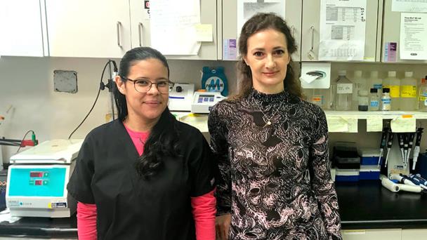 Ardua labor en la búsqueda de alternativas para tratar tumor cerebral Ardua labor en la búsqueda de alternativas para tratar tumor cerebral