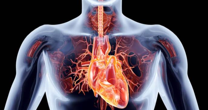 Hasta 25 años podría tardar el corazón en limpiarse al dejar de fumar