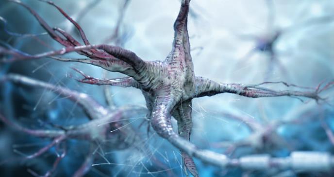 Identificadas las principales vías genéticas alteradas en fibromialgia