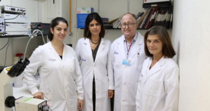 Identifican un mecanismo molecular responsable del envejecimiento del corazón