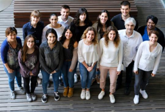 Descrita una clave para frenar un subtipo de cáncer de colon y recto Descrita una clave para frenar un subtipo de cáncer de colon y recto